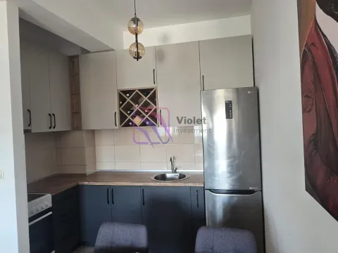 Izdavanje, jednosoban stan, 46m², Zabjelo, Podgorica - image 6