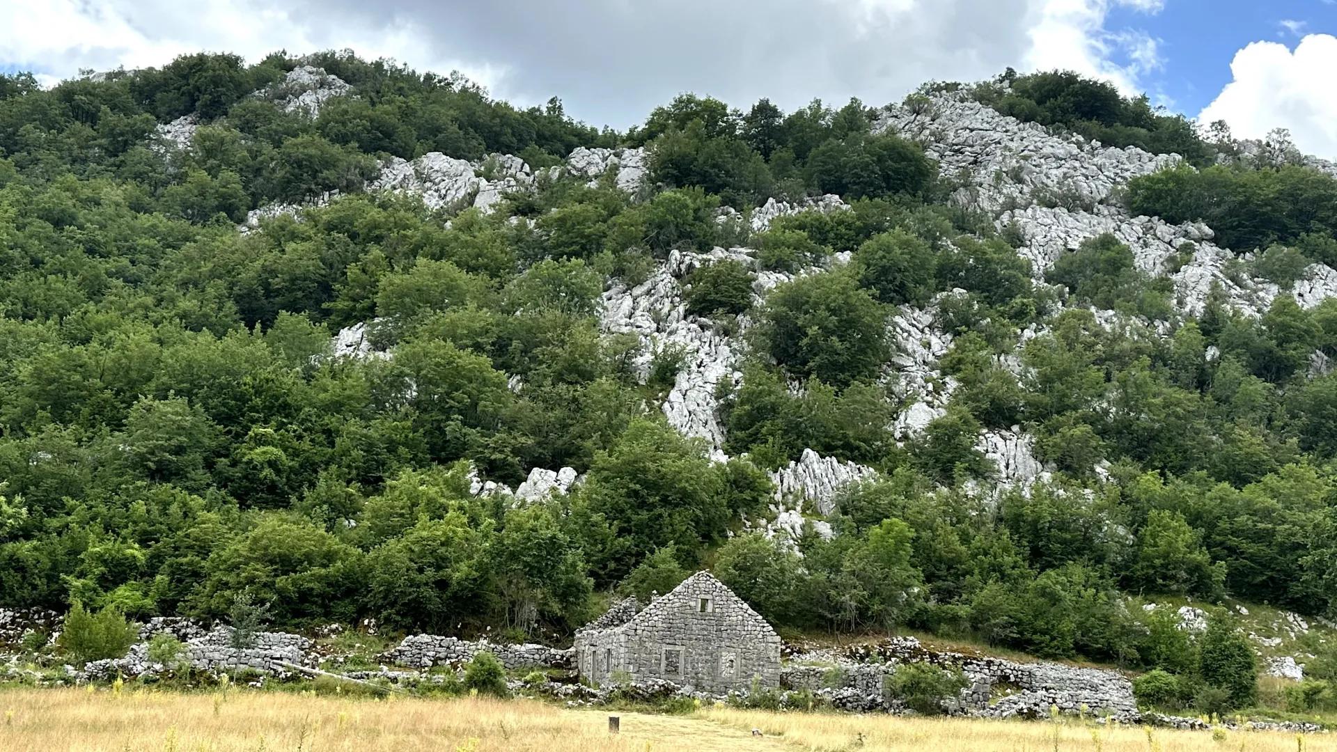 Prodaja, plac, 12000m², Grahovo, Nikšić