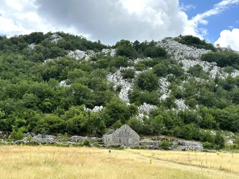 Prodaja, plac, 12000m², Grahovo, Nikšić - image 5