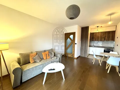 Rent, one bedroom apartment, 49m², Ljubović, Podgorica - image 2