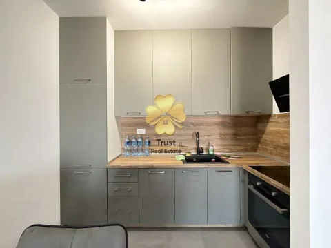 Izdavanje, jednosoban stan, 55m², Master Kvart, Podgorica - image 5
