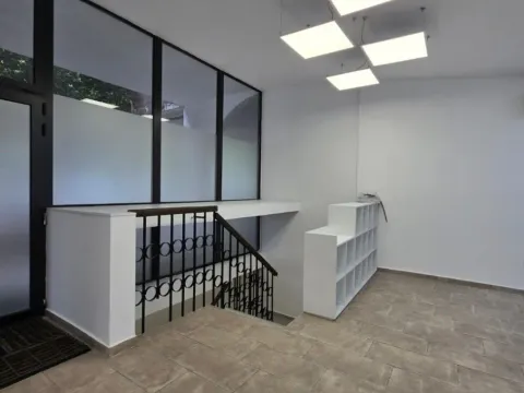 Izdavanje, poslovni prostor, 294m², Blok 5, Podgorica - image 2