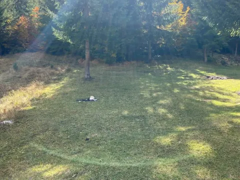 Sale, land lot, 301m², Razvršje, Žabljak - image 3