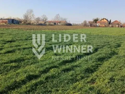 Sale, land lot, 20100m², Petrovčić, Surčin - image 4