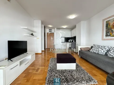 Izdavanje, jednosoban stan, 50m², Tološi, Podgorica - image 4