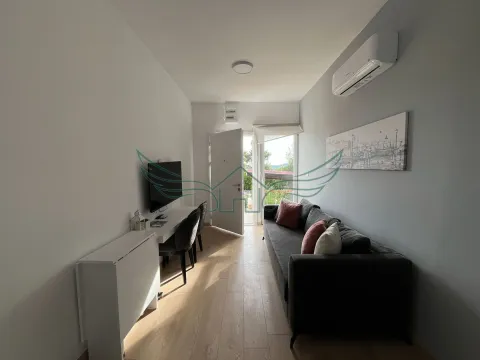 Prodaja, jednosoban stan, 27m², Kavač, Kotor - image 12