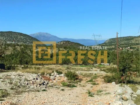 Prodaja, plac, 32000m², Donja Gorica, Podgorica - image 8