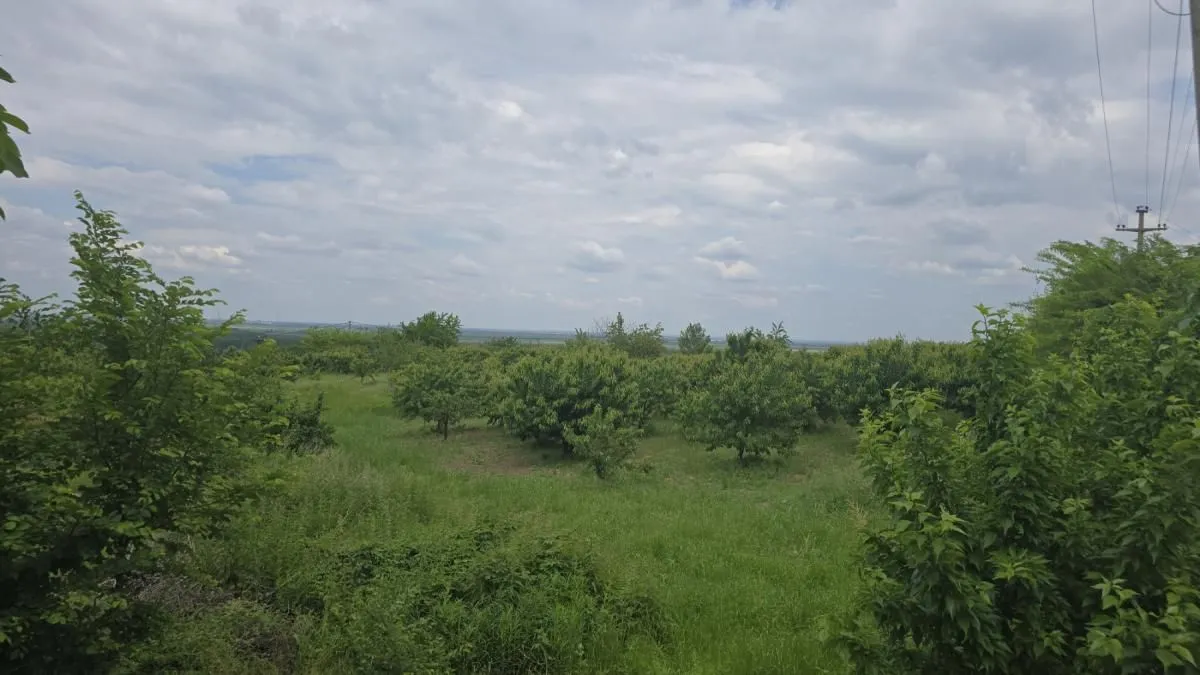 Prodaja, plac, 1100m², Ritopek, Grocka