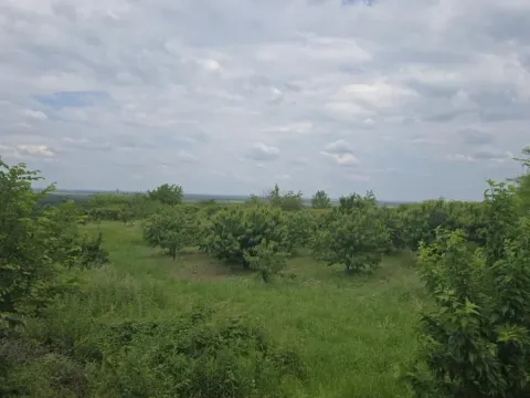 Prodaja, plac, 1100m², Ritopek, Grocka - image 7