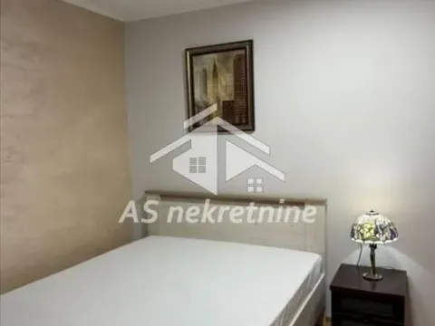 Izdavanje, stan, 52m², Vračar Hram, Vračar Sve Podlokacije - image 9