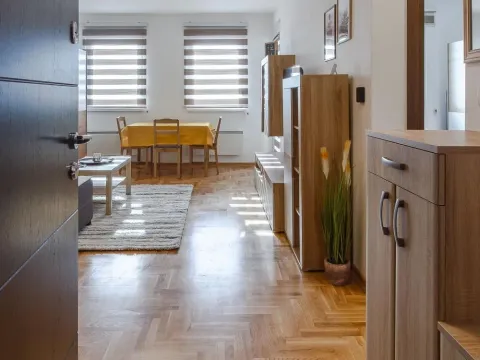 Izdavanje, dvosoban stan, 40m², Zvezdara Sve Podlokacije, Beograd - image 18