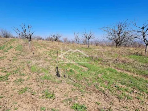 Sale, land lot, 4700m², Ritopek, Grocka - image 4