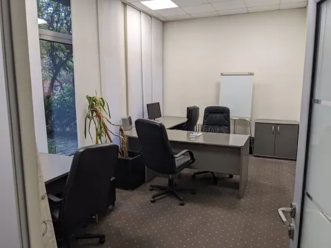 Izdavanje, poslovni prostor, 250m², Altina, Beograd - image 3