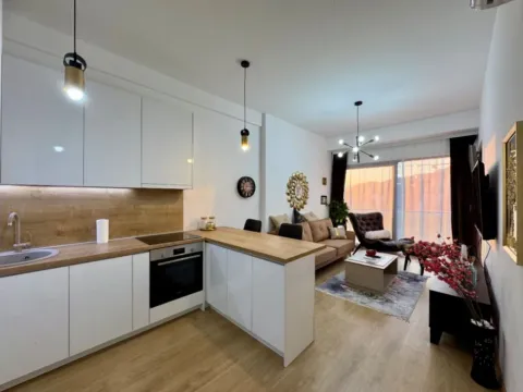 Stan-na-dan, jednosoban stan, 55m², Centar, Bar - image 4