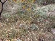 Prodaja, plac, 558m², Jošica, Herceg Novi - image 8