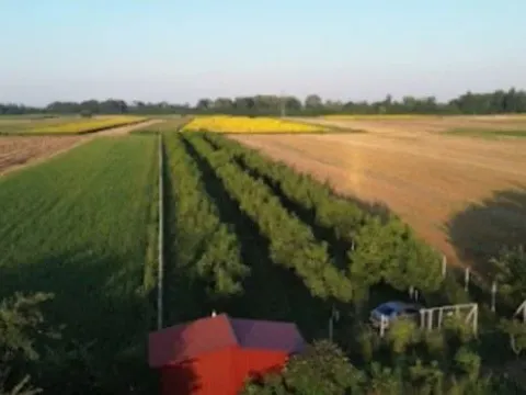 Sale, land lot, 5000m², Bogatić, Srbija - image 9