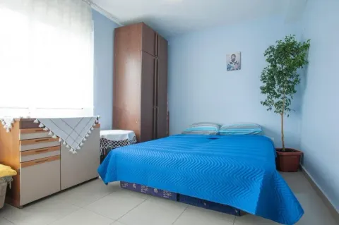 Bright bedroom with a double bed, wardrobe, and a potted plant. - image 6