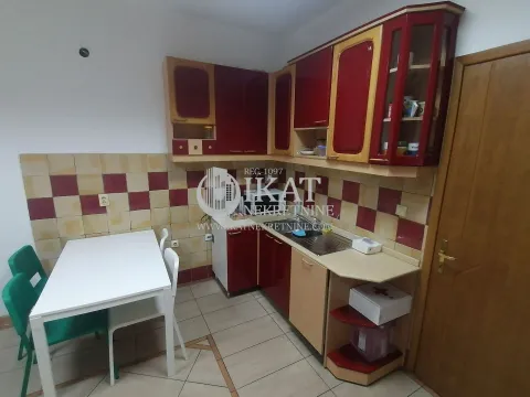 Izdavanje, kuća, 540m², Zvezdara Sve Podlokacije, Beograd - image 10