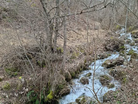 Prodaja, plac, 6000m², Centar, Plav - image 3