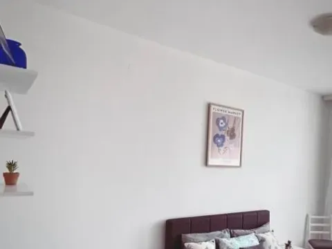 Izdavanje, jednosoban stan, 43m², Grbavica, Novi Sad Sve Podlokacije - image 4