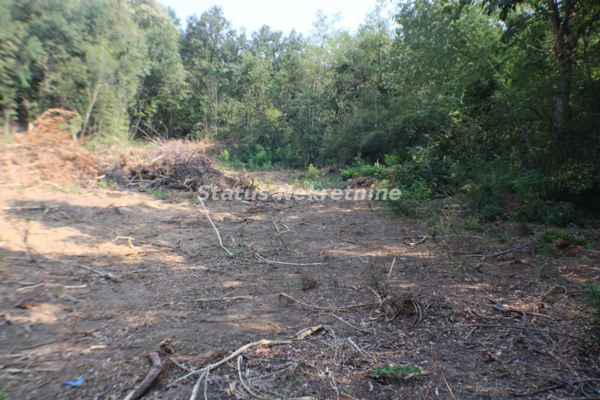 Prodaja, plac, 6531m², Beočin, Srbija