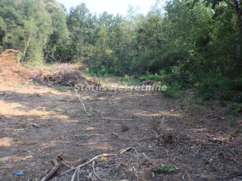 Prodaja, plac, 6500m², Beočin, Srbija - image 5