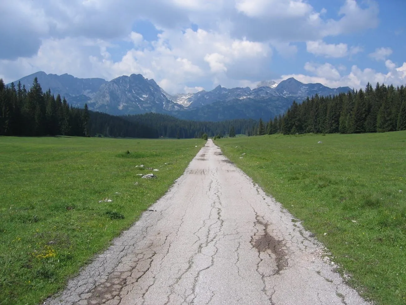 Prodaja, plac, 6056m², Centar, Žabljak