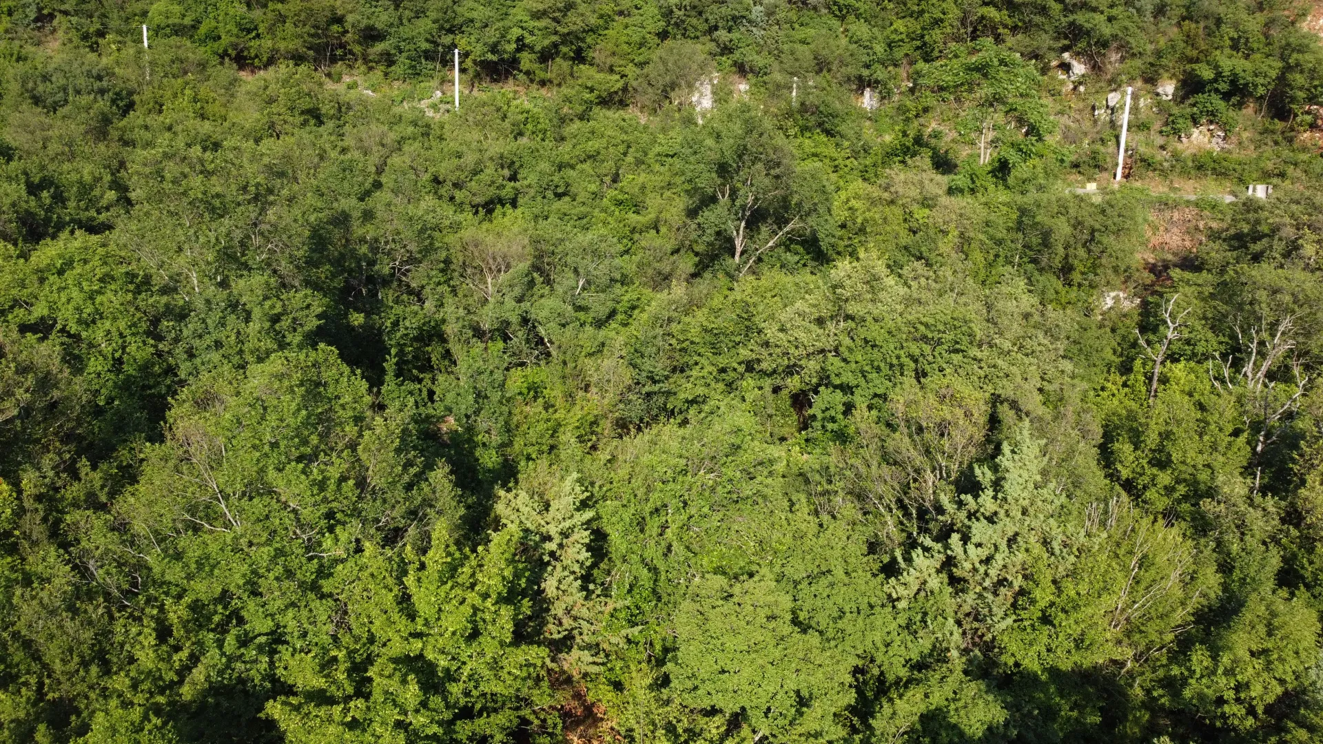 Prodaja, plac, 1000m², Mojdež, Herceg Novi