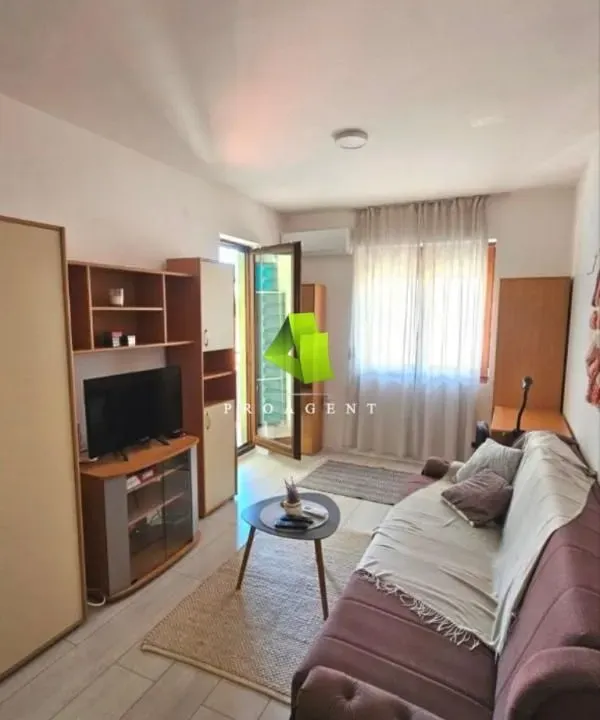 Rent, apartment, 25m², Palilula, Niš