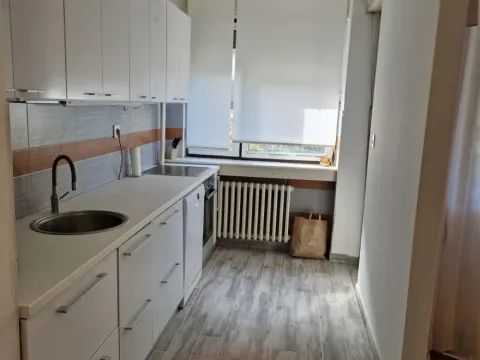 Izdavanje, četvorosoban stan, 100m², Vračar Hram, Vračar Sve Podlokacije - image 6