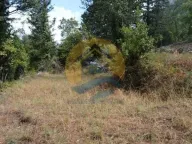 Sale, land lot, 1200m², Dobrota, Kotor - image 7