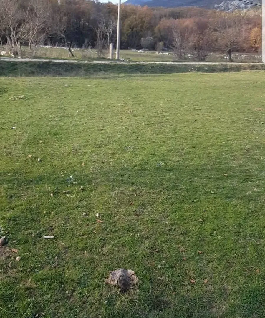Prodaja, plac, 515m², Bar, Crna Gora