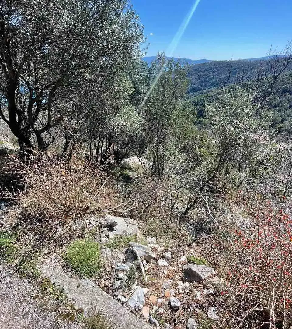Prodaja, plac, 558m², Herceg Novi, Crna Gora