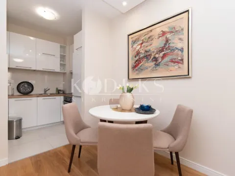 Izdavanje, jednosoban stan, 40m², Central Point, Podgorica - image 5