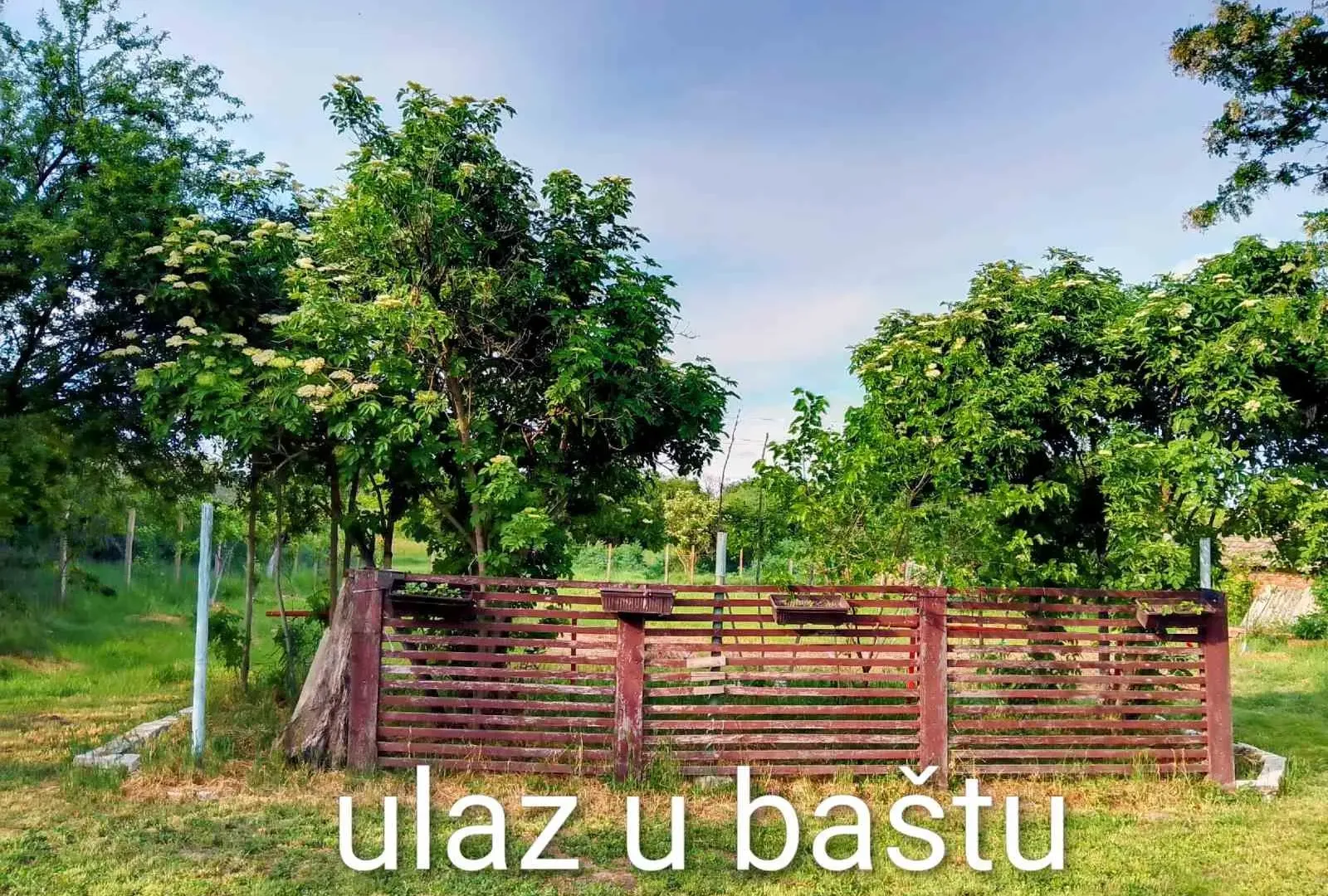 Sale, house, 112m², Sečanj, Srbija