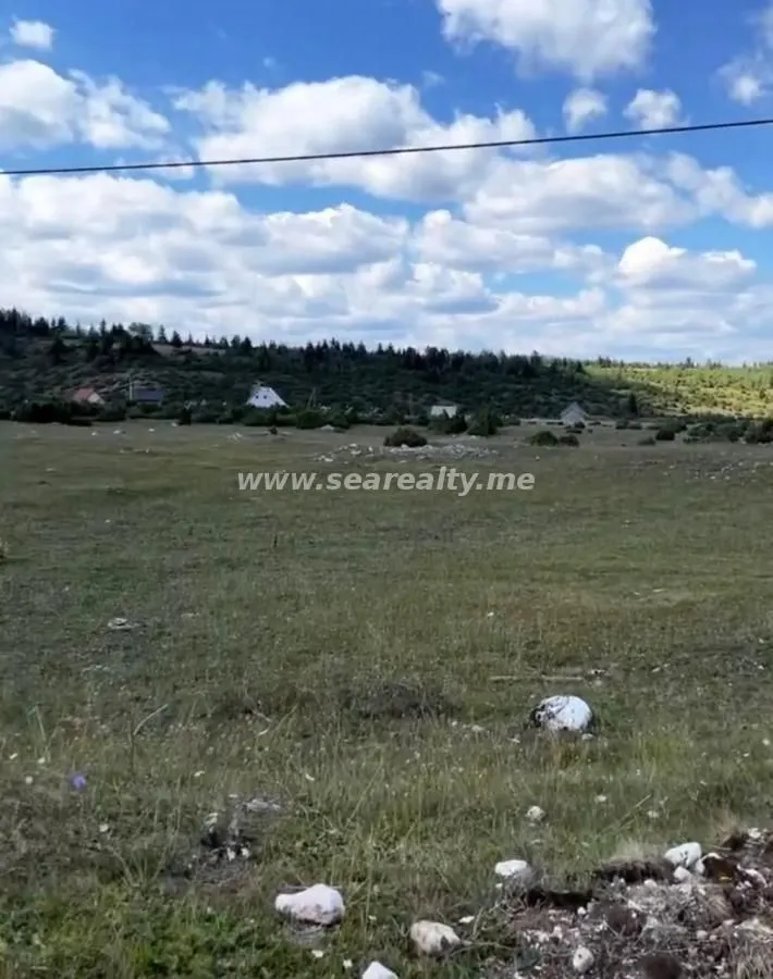 Prodaja, plac, 16300m², Borje, Žabljak
