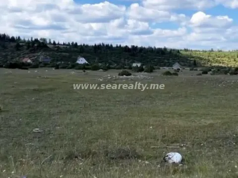 Sale, land lot, 16300m², Borje, Žabljak - image 6
