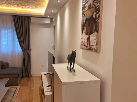 Izdavanje, jednosoban stan, 49m², Central Point, Podgorica - image 7