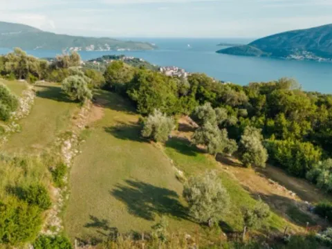 Prodaja, plac, 1553m², Trebesinj, Herceg Novi - image 5