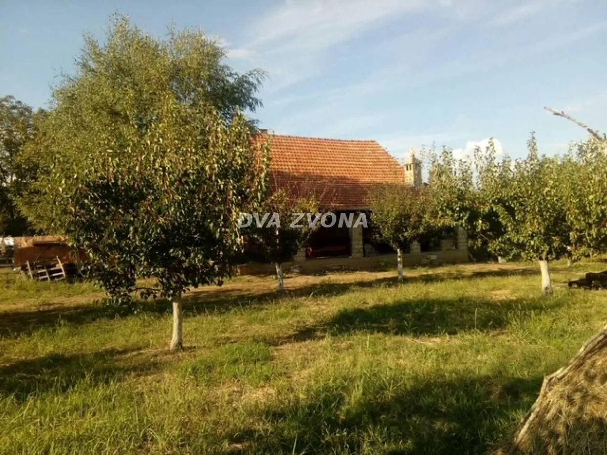 View of the house with a yard and orchard.