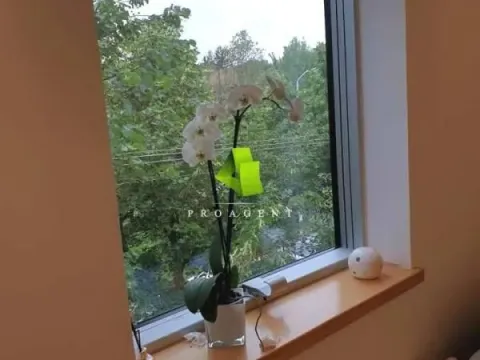 Izdavanje, stan, 36m², Medijana, Niš - image 4