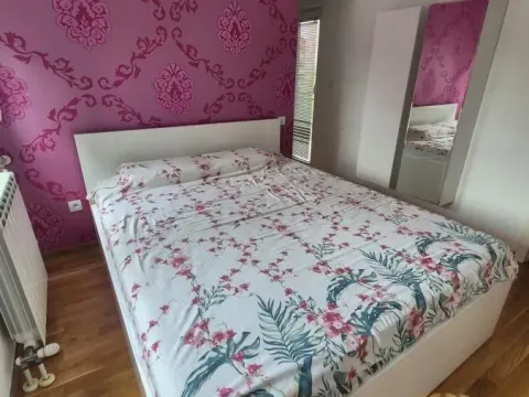Izdavanje, dvosoban stan, 70m², Južni Bulevar, Vračar Sve Podlokacije - image 7