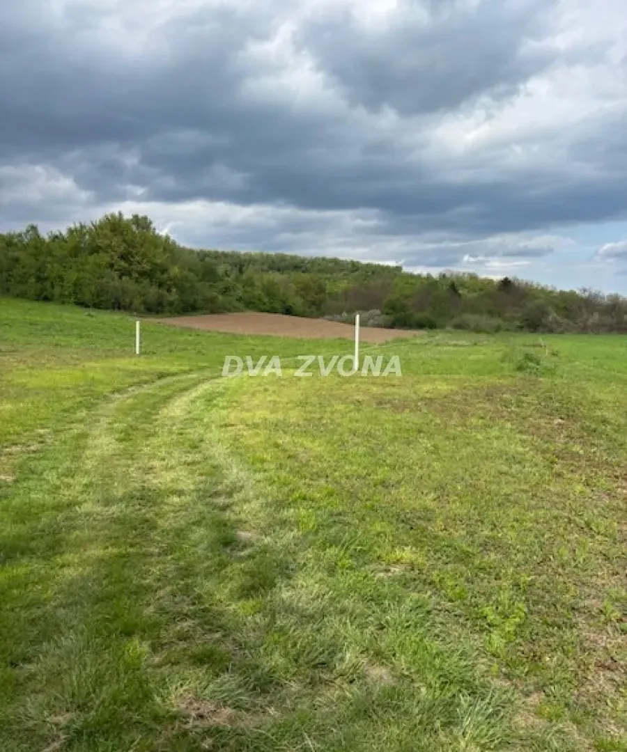 Prodaja, plac, 6400m², Čortanovci, Inđija