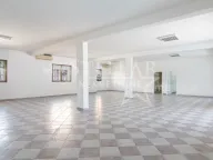 Izdavanje, poslovni prostor, 250m², Zabjelo, Podgorica - image 2