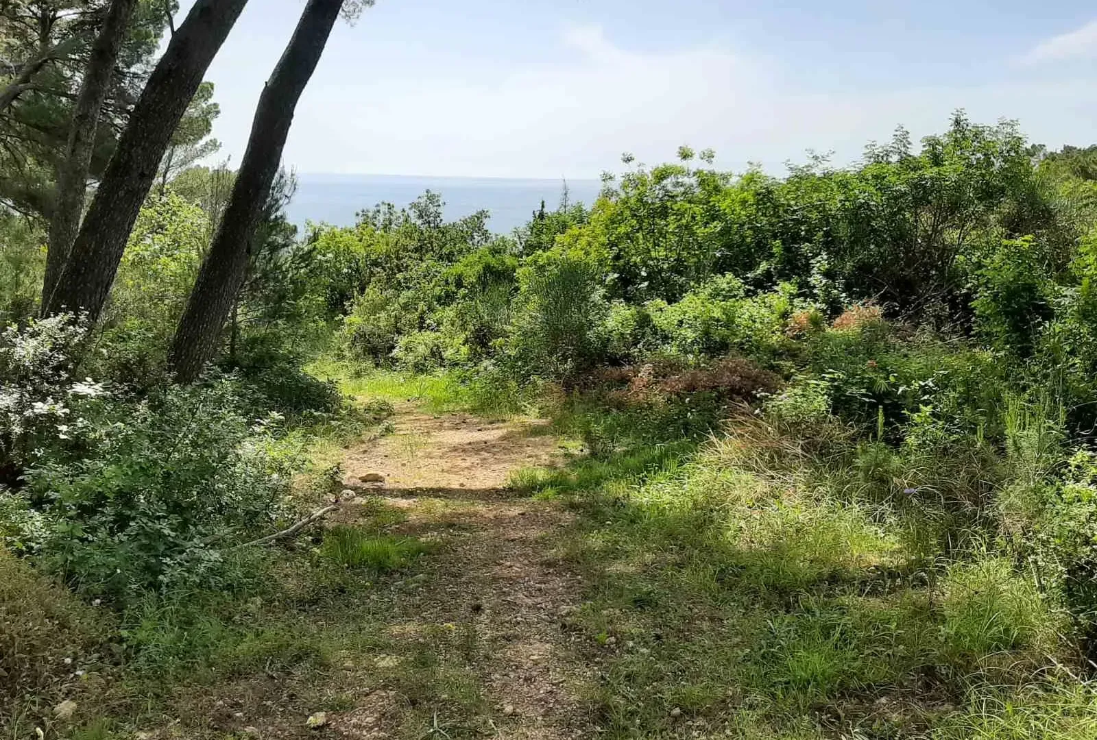 Prodaja, plac, 551m², Ulcinj, Crna Gora