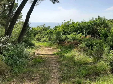 Prodaja, plac, 551m², Ulcinj, Crna Gora - image 3