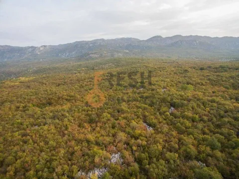 Prodaja, plac, 104804m², Danilovgrad, Crna Gora - image 7