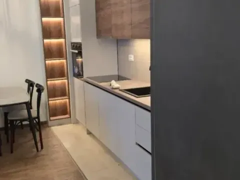 Izdavanje, jednosoban stan, 49m², Zabjelo, Podgorica - image 6