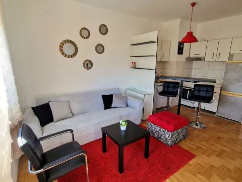 Rent, one bedroom apartment, 43m², Tuški Put, Podgorica - image 2