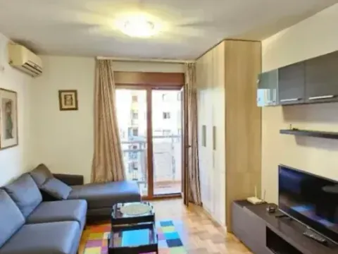 Izdavanje, jednosoban stan, 47m², Stari Aerodrom, Podgorica - image 4